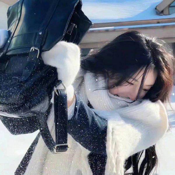 惹不起的殿下大人